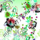 Colour:C