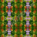 Colour:A