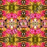 Colour:J
