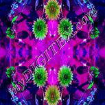 Colour:C