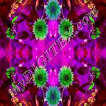 Colour:D