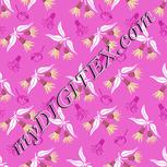 Colour:B