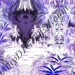 Colour:F