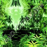Colour:K