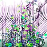 Colour:C