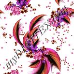 Colour:B