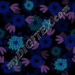 Colour:F