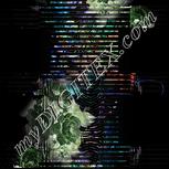 Colour:F