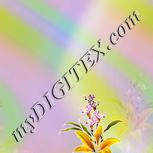 Colour:A