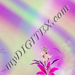 Colour:B