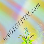 Colour:D