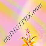 Colour:J