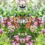 Colour:A