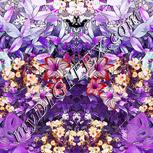 Colour:B