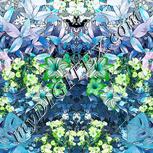 Colour:C