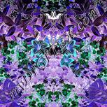 Colour:F