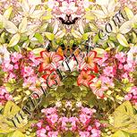 Colour:J