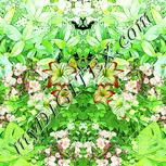 Colour:K