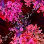 Colour:B