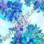 Colour:F