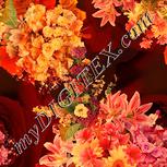 Colour:J