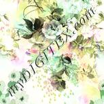 Colour:B