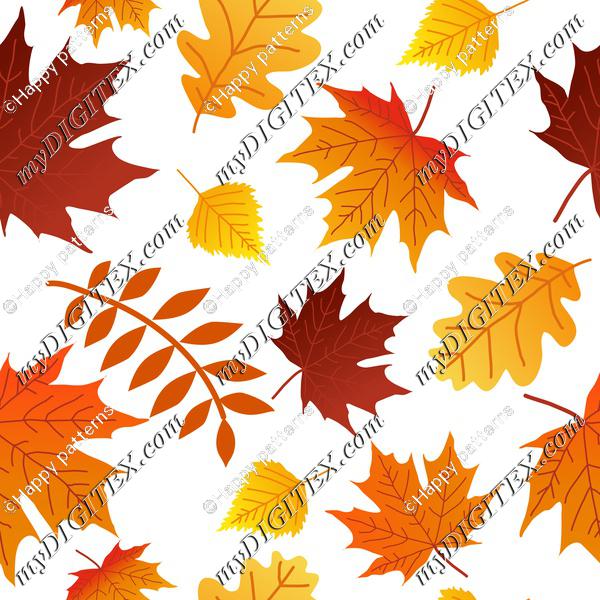 Autumn Fall colorful leaves, Maple leaves