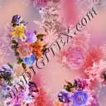 Colour:A