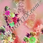 Colour:B