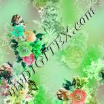 Colour:C