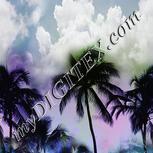 Colour:A