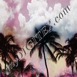 Colour:C