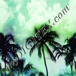 Colour:K