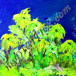Colour:K