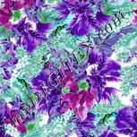 Colour:C