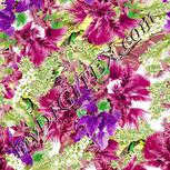 Colour:D