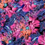 Colour:F