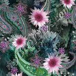 Colour:B