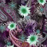 Colour:C