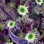 Colour:D