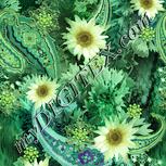 Colour:K