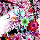Colour:B