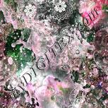 Colour:B