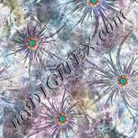 Colour:F