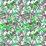 Colour:C
