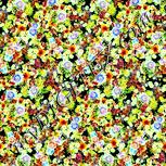 Colour:K