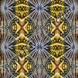 Colour:F