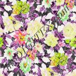 Colour:B