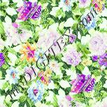 Colour:K