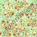Colour:K